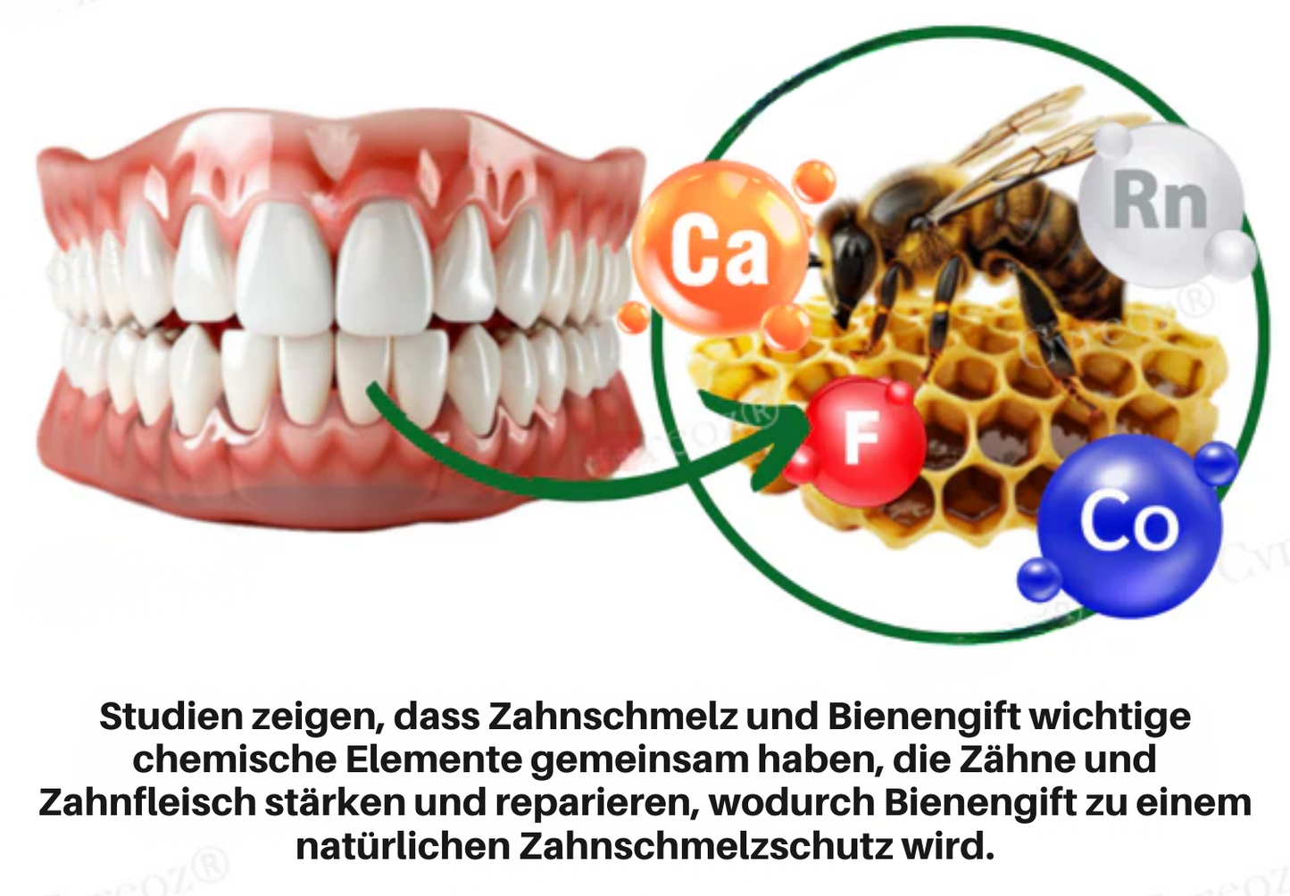 Fivfivgo® Propolis Mundgesundheit Spray